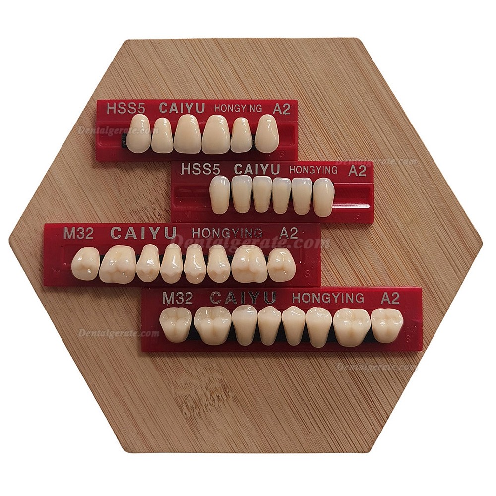 Caiyu Hongying Zahnprothesen aus Dentalharz (Dreischichtfarbe) A1/A2/A3/A3.5/A4